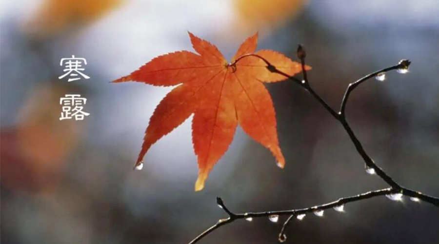 寒露時(shí)節(jié)！金環(huán)電器提醒大家要注意的事項(xiàng)