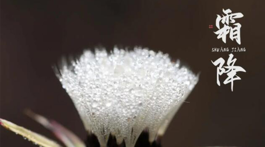 霜降時節(jié)！金環(huán)電器提醒大家要注意的事項