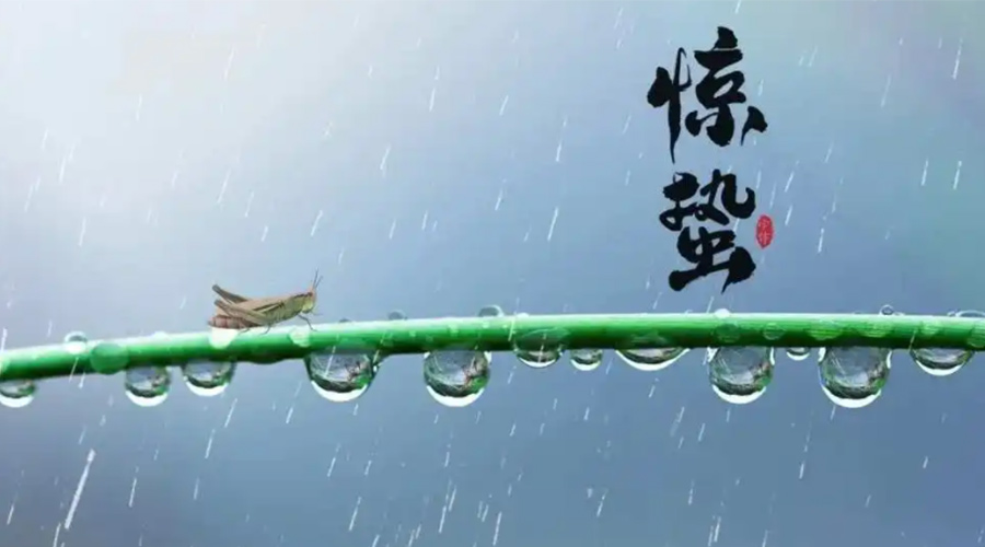 驚蟄時(shí)節(jié)！金環(huán)電器提醒大家干衣要注意這些