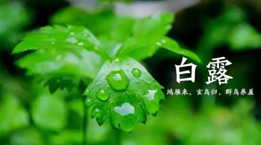 白露時節(jié)！金環(huán)電器提醒大家要注意的事項