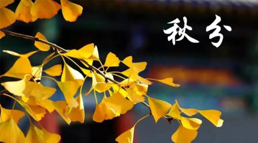 秋分時(shí)節(jié)！金環(huán)電器提醒大家要注意的事項(xiàng)