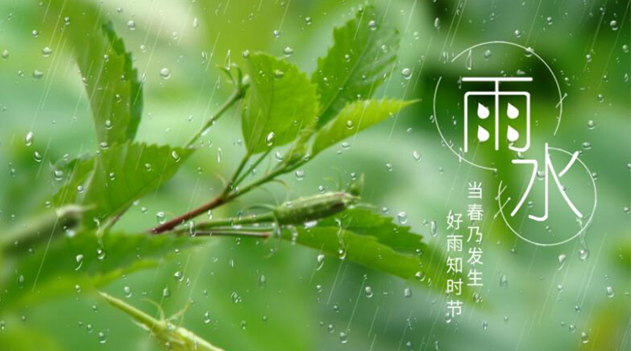 雨水時(shí)節(jié)！金環(huán)電器提醒大家要注意的事項(xiàng)