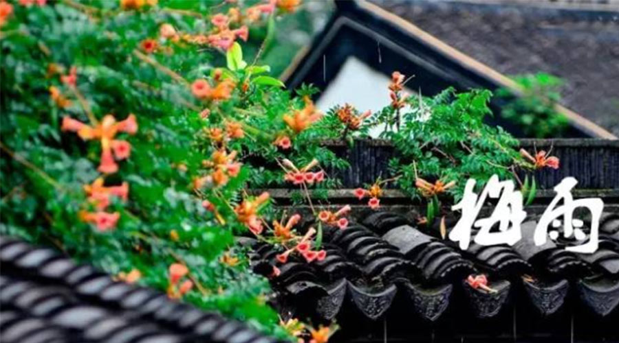 什么是梅雨？梅雨如何形成？  金環(huán)電器告訴你答案